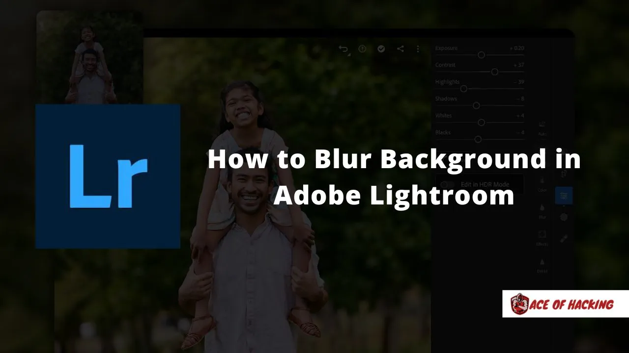 How to Blur Background in Adobe Lightroom